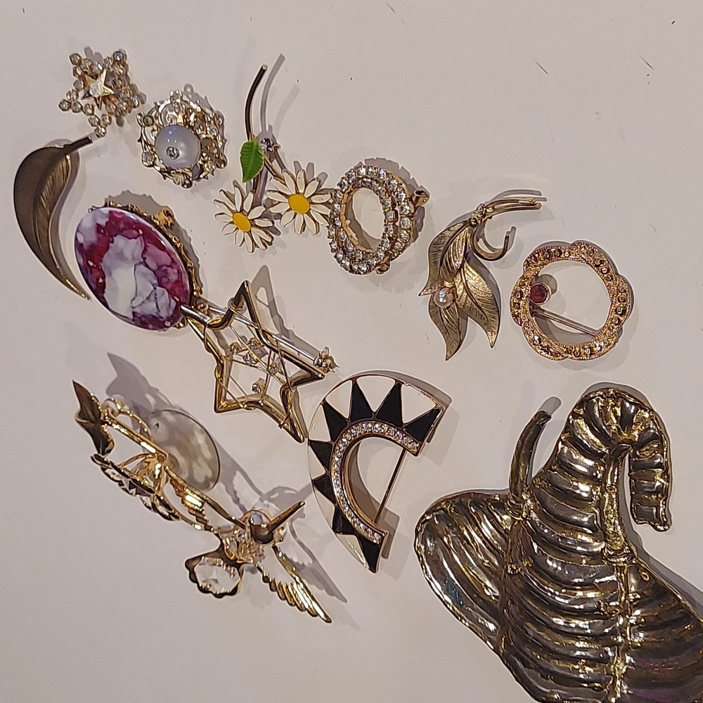 12 PC bundle Brooches